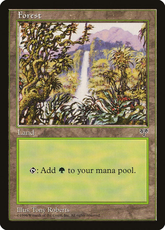 Forest (Waterfall)