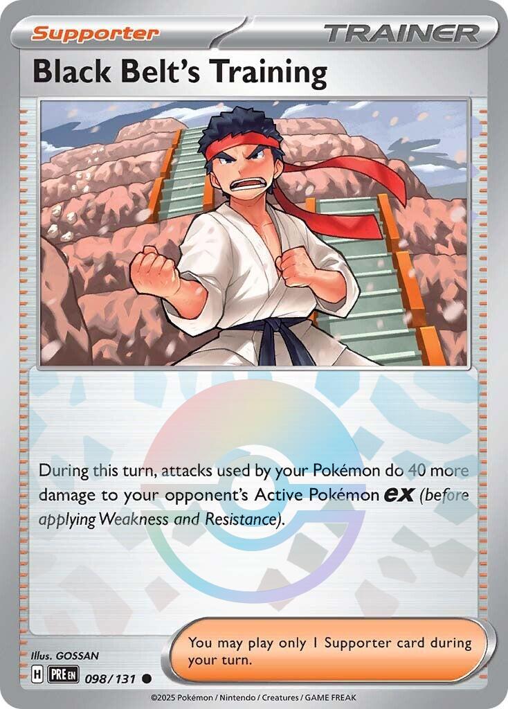 Black Belt's Training (Poke Ball Pattern)