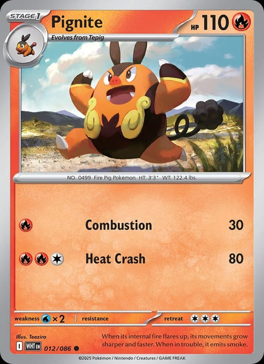 Pignite (Master Ball Pattern)